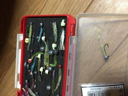 初めてのアジング