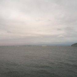 マクラーレン・イワシ