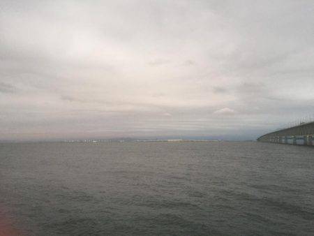 マクラーレン・イワシ