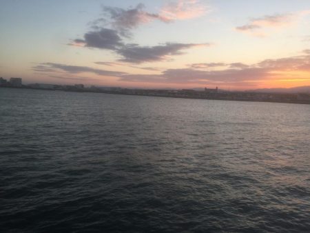 タチウオがもどってキタ！