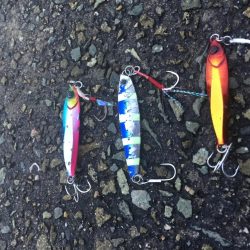 テトラは怖ぇなぁ