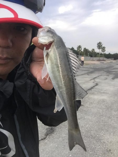 城南島で魚釣り。