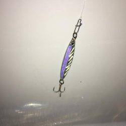 日没直後にきました