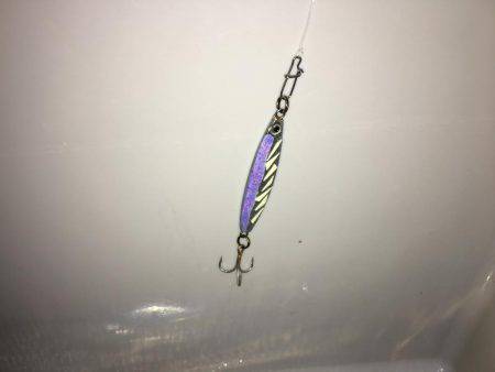 日没直後にきました