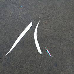 小太刀ですが……