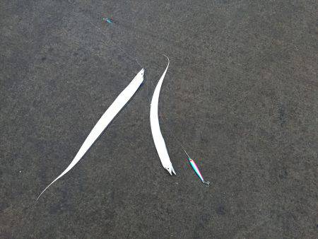 小太刀ですが……