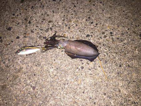 当たりは有るのに