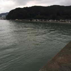 ラッキーでした