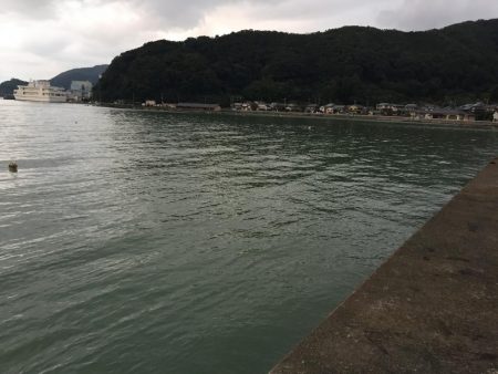 ラッキーでした