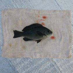 豊浜→師崎方面