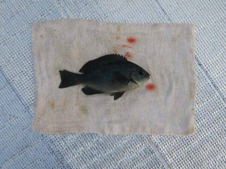 豊浜→師崎方面