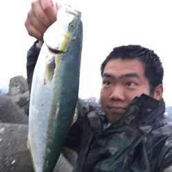 T浦漁港にてツバス