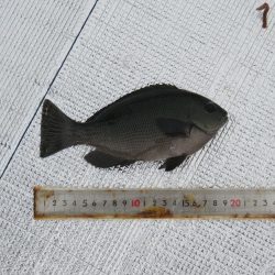 防寒装備を忘れずに