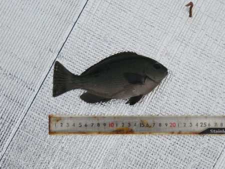 防寒装備を忘れずに