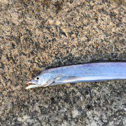 武庫一 ちょっと残念