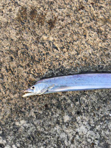 武庫一 ちょっと残念