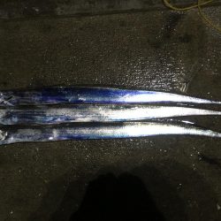 雨ニモマケズ刀狩り