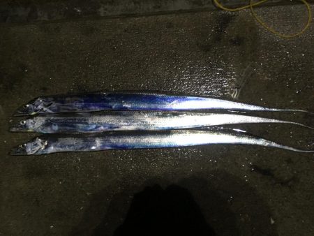 雨ニモマケズ刀狩り