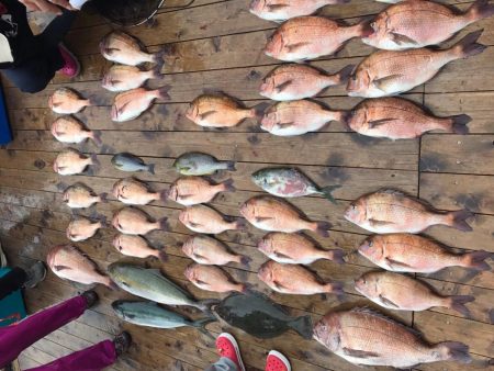 青モノ目指して