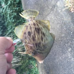 あとちょっとが届かない