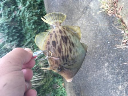 あとちょっとが届かない