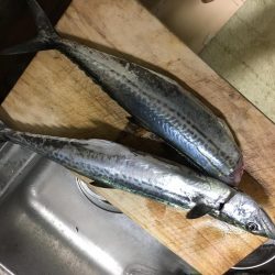 雨と強風のなか