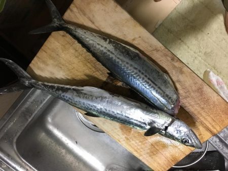 雨と強風のなか