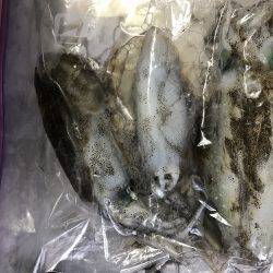 寒くなってきてます