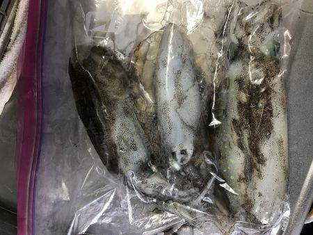 寒くなってきてます