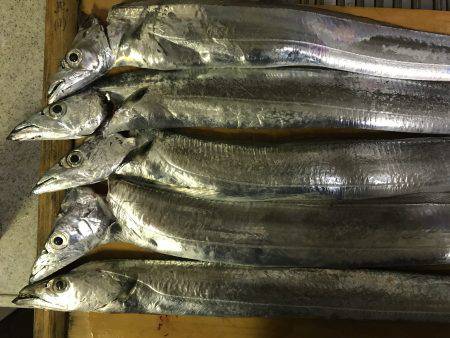 ワインドで激シャクリ