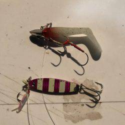 今年初武庫川一文字！