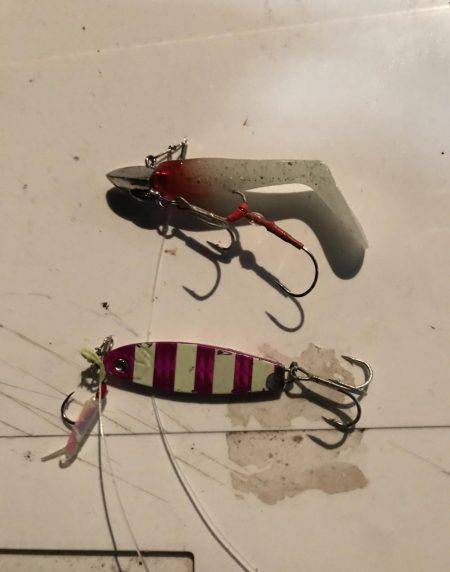 今年初武庫川一文字！