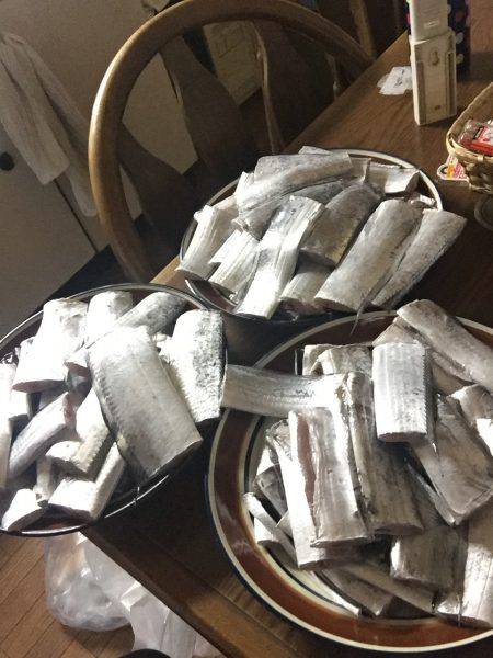 タチウオ釣りました