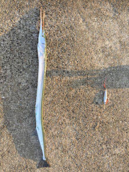 ショアジギング