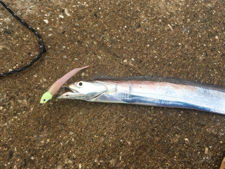 晩ご飯のおかず釣り