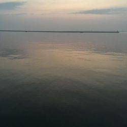 小松島終了気味