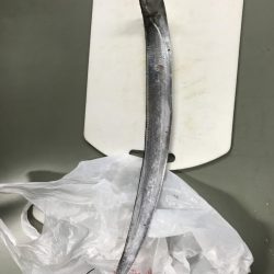 月見ヶ丘初釣行