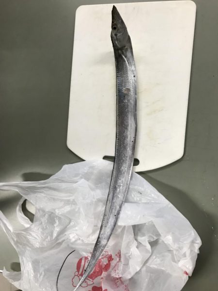 月見ヶ丘初釣行