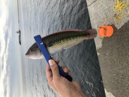 ポーアイチャレンジ