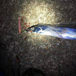 スローワインド