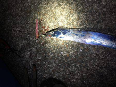 スローワインド