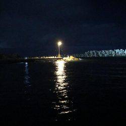 ３連休エギング釣行