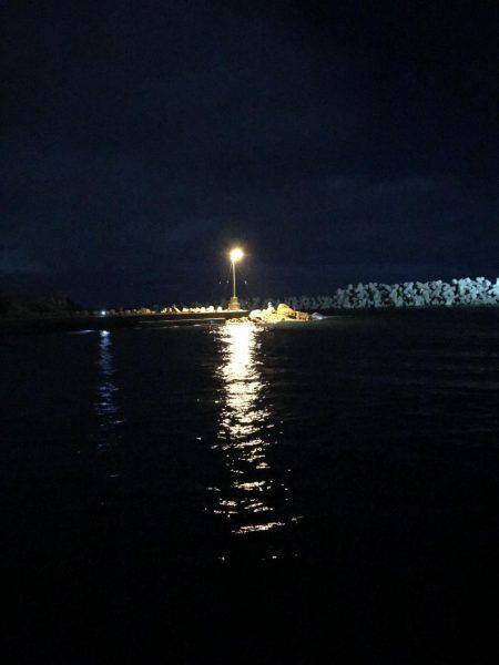 ３連休エギング釣行