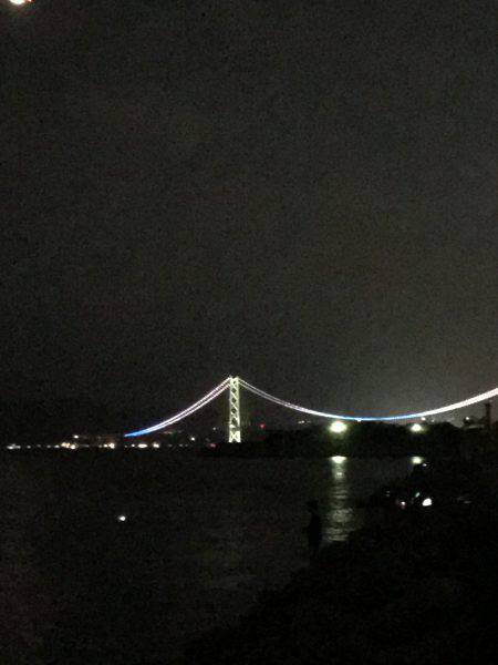 久しぶりのイカ