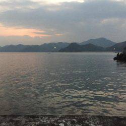 会社帰りにエギング