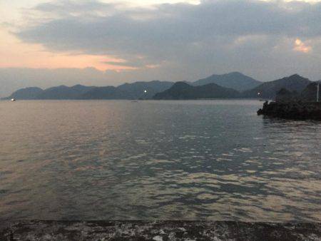 会社帰りにエギング