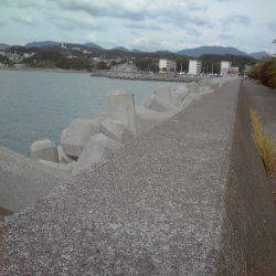 テトラでガシラ釣り