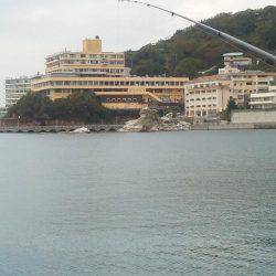 久し振りのアジつり・・・アオリイカ一杯・・