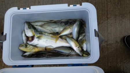 初の船釣りは最高の釣果！