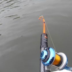 今期初ワカサギ